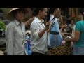 Gare et marché couvert d'Hanoi