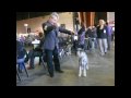 Schnauzer Arram Chapiro Eurodogshow Kortrijk 2009