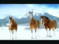 Budweiser Commercial (2006) (Television Commercial)
