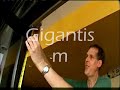Gigantism and Dwarfism.wmv