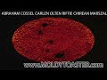 ABRAHAM COSSEL CARLEN OLTEN RIFFIE CHIREAN MARSZALEK RAUSE.mov