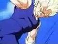 DBZ - Fusion Saga - Union of rivals