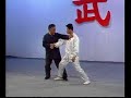 Dong Shuxin (???) - Taiji meihua tanglangquan applications Dong Shuxin (???) - Taiji meihua tanglangquan applications