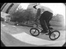 Animal BMX Roadtrip