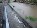 canal desbordado
