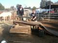 Redneck Jackass!!!!