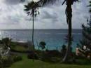 Coco Reef
