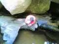 kintela,Garbancito terrible!!!