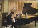 Beethoven: Piano Sonata no. 27 op. 90 in e minor, 1st movt.
