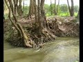 RIO CEGA RIO CEGA
