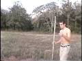 Deer Season Cannon 1