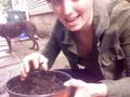 Planting Hens and Chicks
