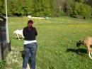Missy & Benni 3