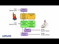 project lifelike   computer interfaces that learn