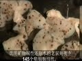 Alkaline Water - Chinese Alkaline Water - Chinese