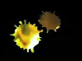 Videoopoem presents Sprinke Geneis \"Tai Chi 40\