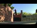 videos de solomon brende freerunning