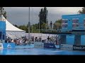 My 305C at Diving World Championships 2005 My 305C at Diving World Championships 2005