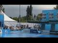 My 305C at Diving World Championships 2005