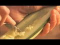 Summer healthy recipe, Salad