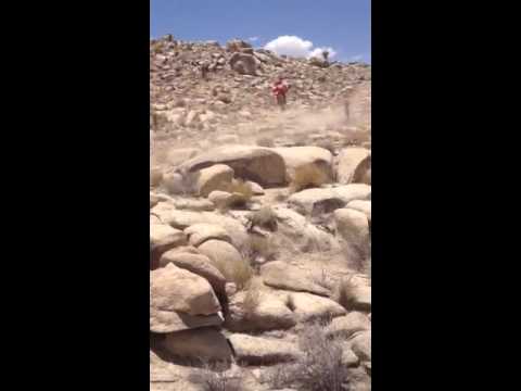 نيك ورع