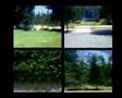 videos de La ruta habitual