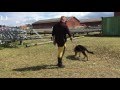 Click to View : Spordag 16. maj 2016 - Kim og Goofy