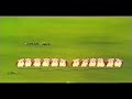 Sesame Street - The Ladybugs\ Sesame Street - The Ladybugs\