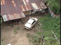 Car Climbing Goats