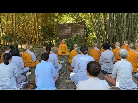 Pháp Đàm NIKAYA -  Oai Nghi Người Tu 1