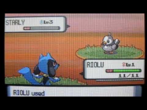 how to evolve riolu in pokemon x