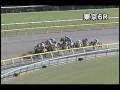 videos de [パトロールビデオ] 081122 5東京5 06R