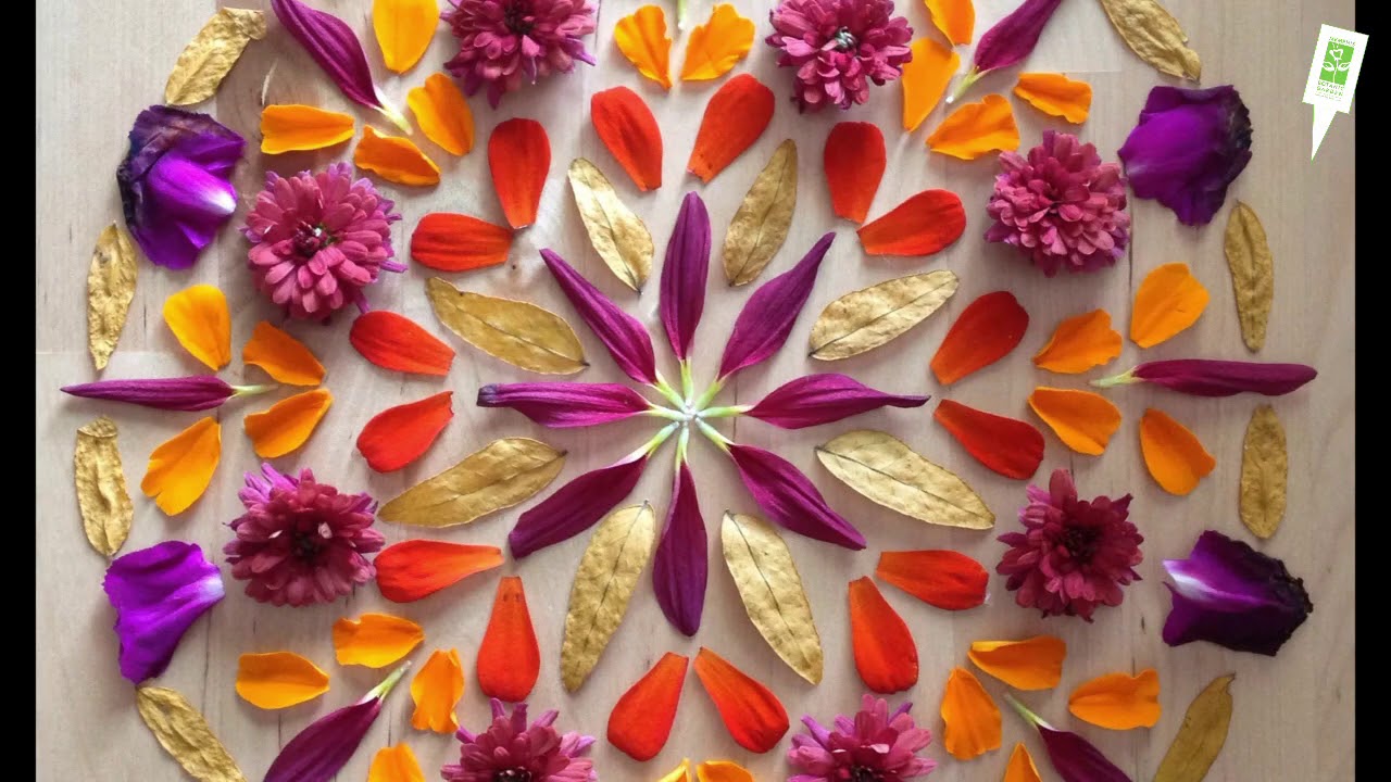 Nature Mandalas