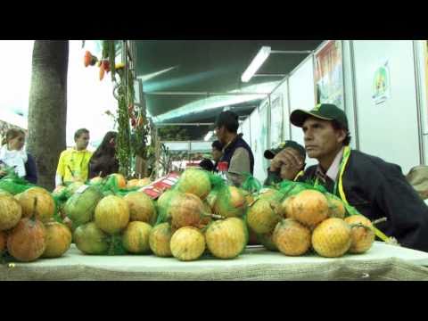 ¿Sabes cuál es el ingrediente secreto del éxito de la comida peruana?