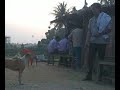 Susmit feeding a dog http://bit.ly/7ZPyH0 #fun #video