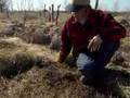 DRTV: Seasonal Living at Dancing Rabbit Ecovillage