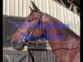 videos de helium  une merveille