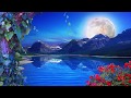 NATURE BACKGROUND LOOP || FREE BACKGROUND || ..