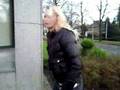 videos de Friesland bankk auwehoeren natuurlijk!
