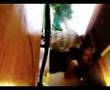 videos de Danse transe