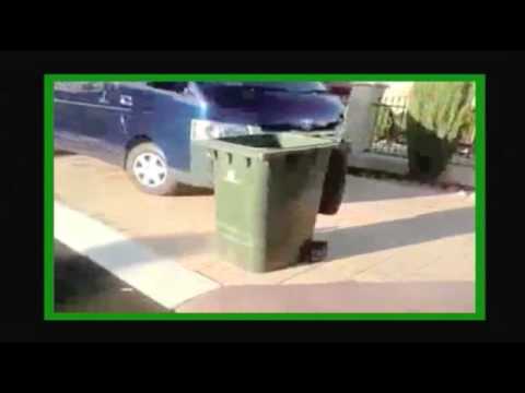 Youtube image