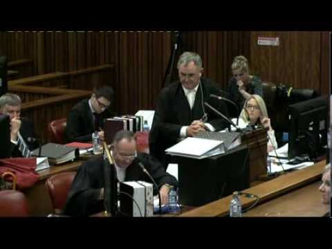 Oscar Pistorius Trial: Friday 7 March 2014, Session 3