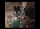 baby ball baby ball