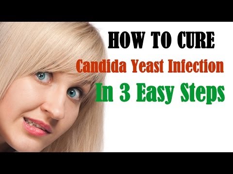 how to cure systemic yeast infection