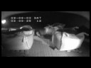 DEFRA TB video 1 DEFRA TB video 1