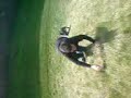 this is paul quigly and welcome to jackass
