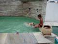 videos de Astor pulando na piscina em ubatuba!