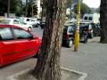 videos de tirana.mp4