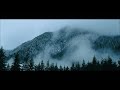 movies 2012 HD - The Grey (2012) Movie Teaser Trailer Hd - Liam Neeson