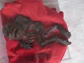 ??? Unknown Creature Found! What Is It ???